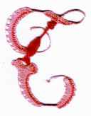 catalogue alphabet dentelliere 2007