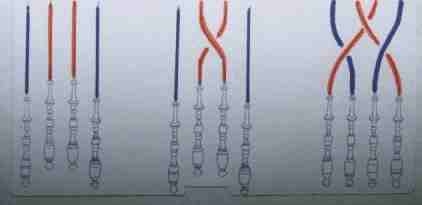  premiere le�on.  5Ko