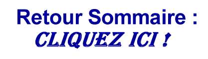 SOMMAIRE 